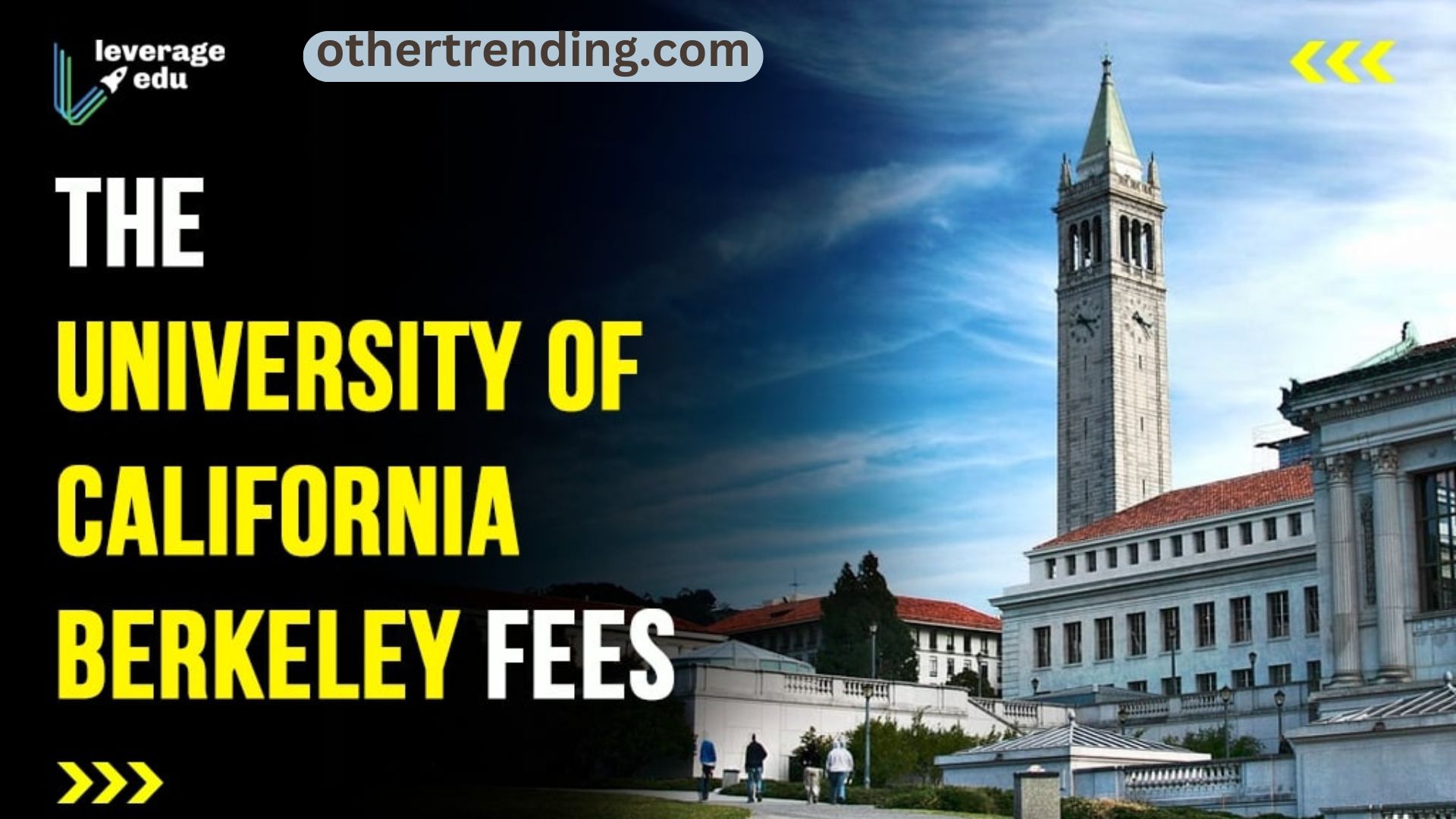 Your Thorough Manual for Applying to the College of California, Berkeley